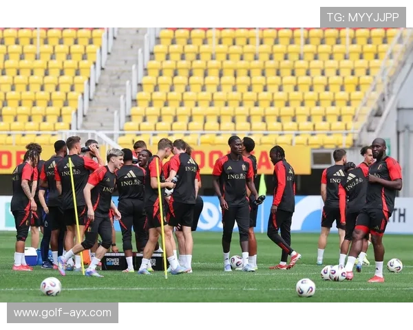 比利时顶级足球球星的崛起与影响力分析